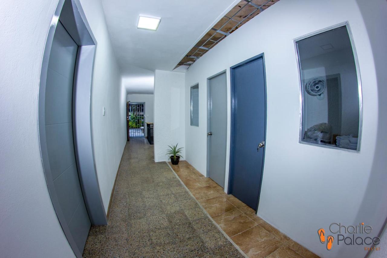 Charlie Palace Hostel メデジン エクステリア 写真