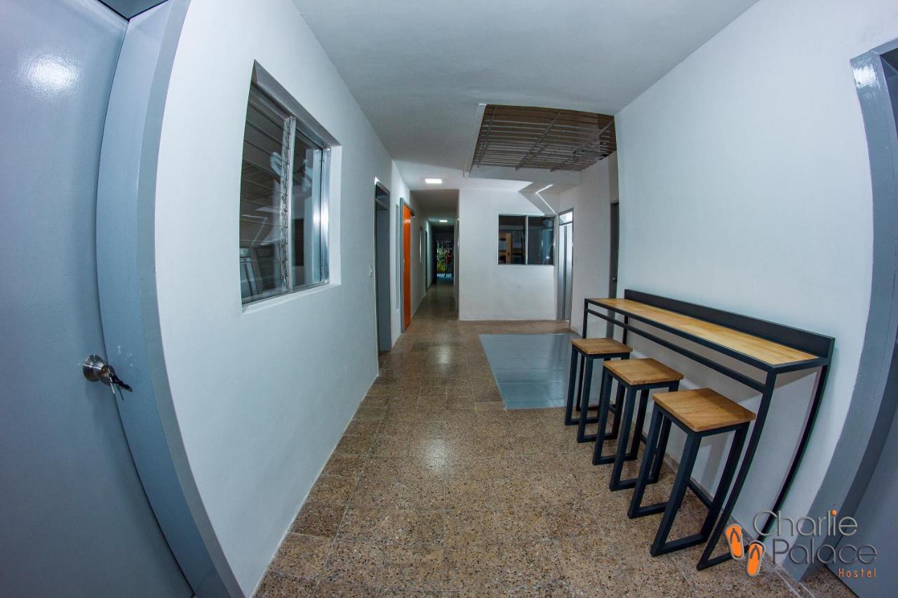 Charlie Palace Hostel メデジン エクステリア 写真