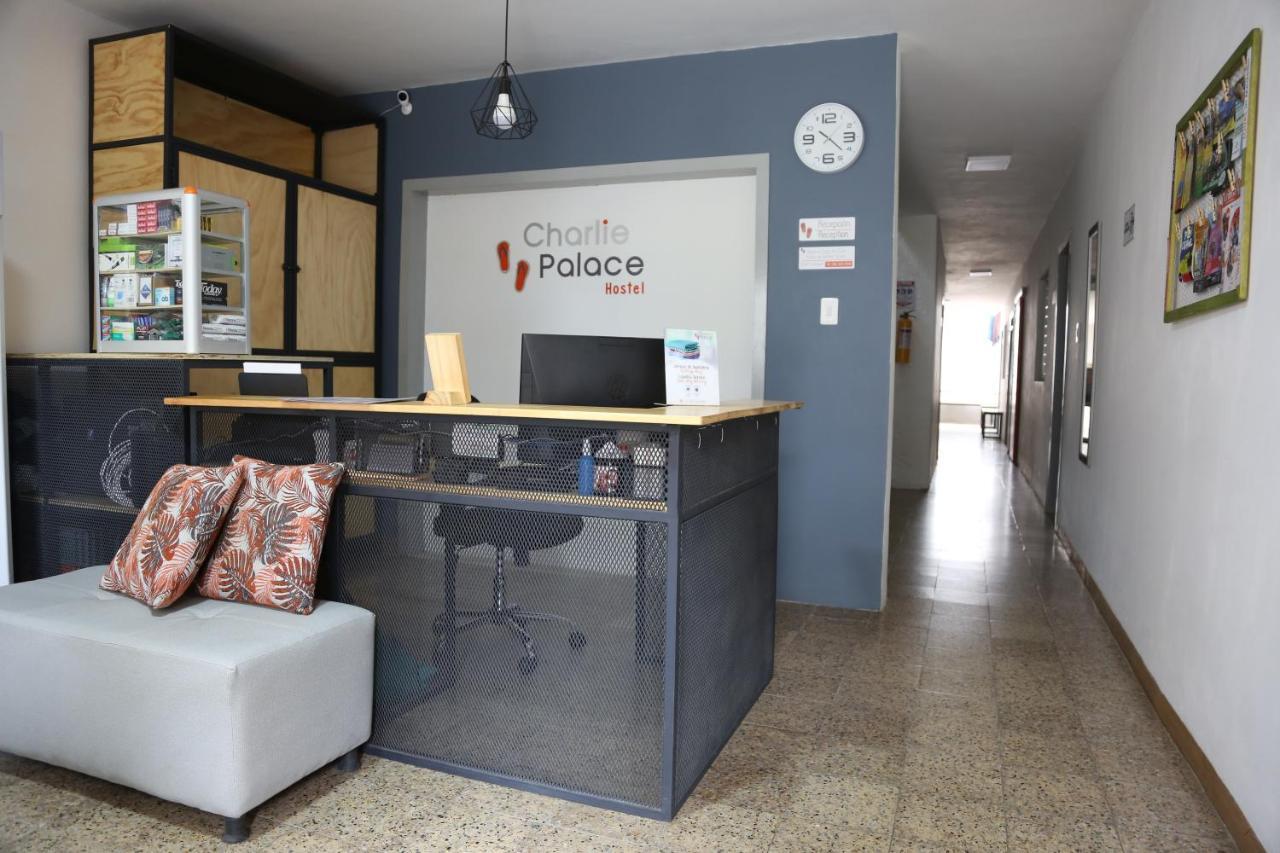 Charlie Palace Hostel メデジン エクステリア 写真